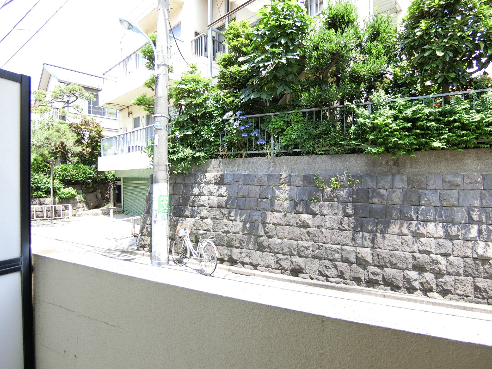 ラッキープラザ高円寺 CIMG1243.jpg