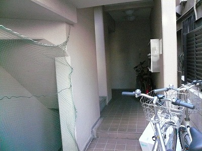 カーサマルナカ 建物その他１_426_234.jpg