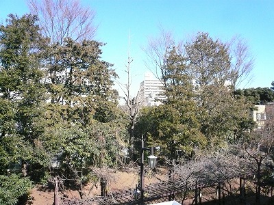 ルピナス東高円寺 建物その他４_426_221.jpg