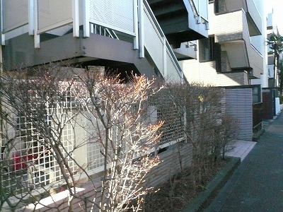 ルピナス東高円寺 建物その他５_426_221.jpg