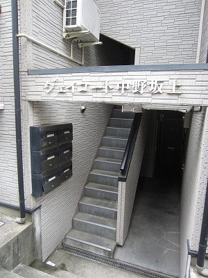 IMG_2861.jpg