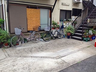 IMG_5492.jpg