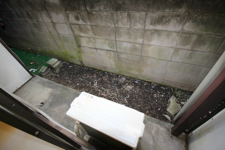 モリハイツⅡ IMG_5989.jpg