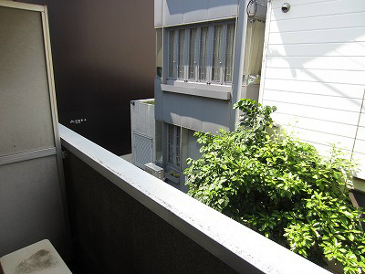 アネックス高円寺 IMG_9897.jpg