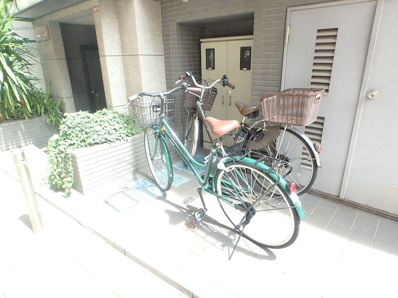 サンライズコスモスⅡ P9010003.jpg