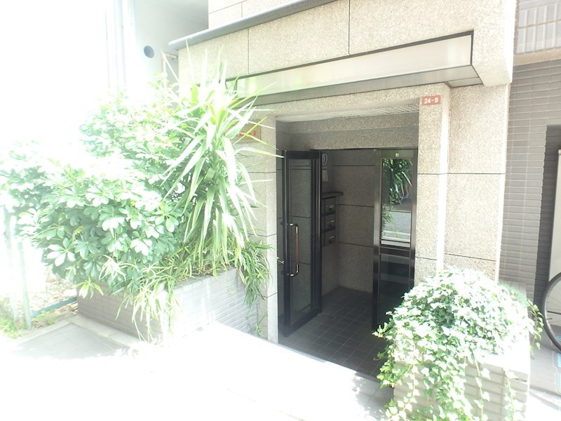 サンライズコスモスⅡ P9010005.jpg