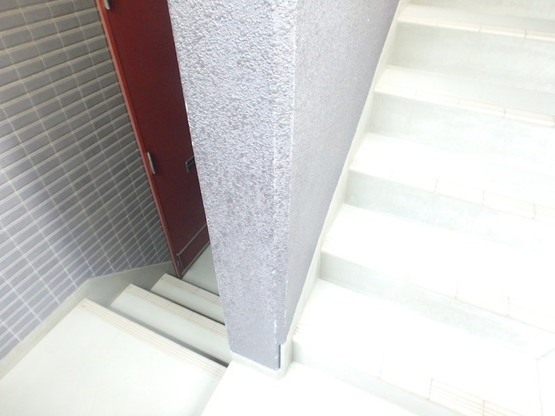 サンライズコスモスⅡ P9010009.jpg